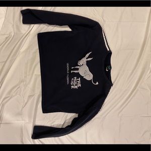 “Mule Kick” Cropped Sweater